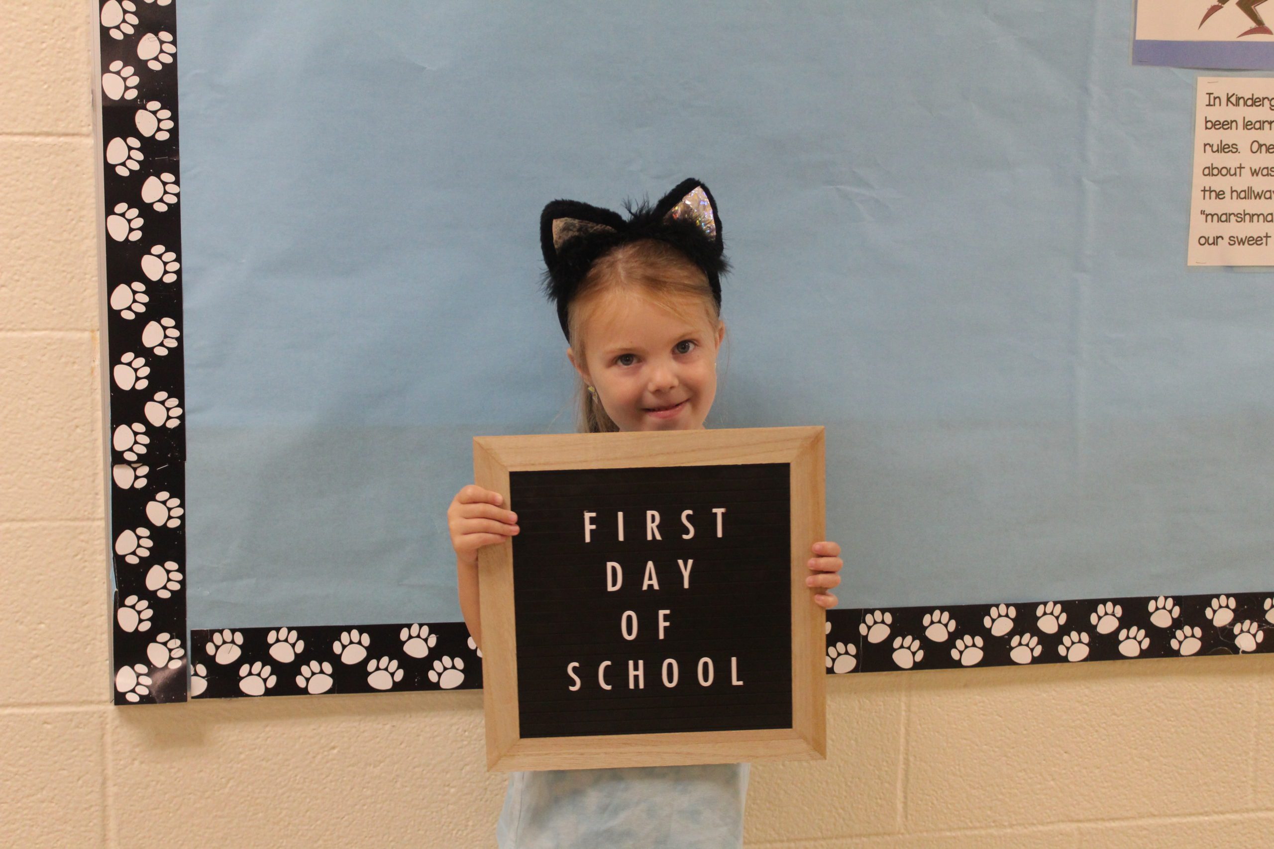 New Lebanon CSD