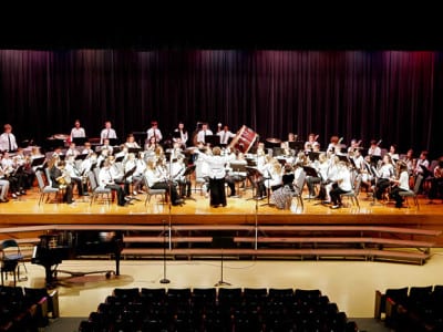 All County Elementary Band on stage
